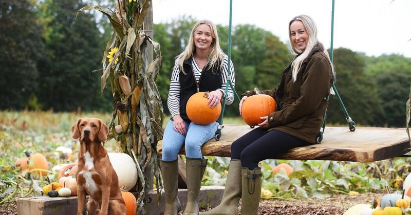 7 of the best places to pick pumpkins in Norfolk this October