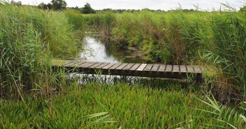 Mystery ‘shooting seat’ discovery sparks police alert in Broads