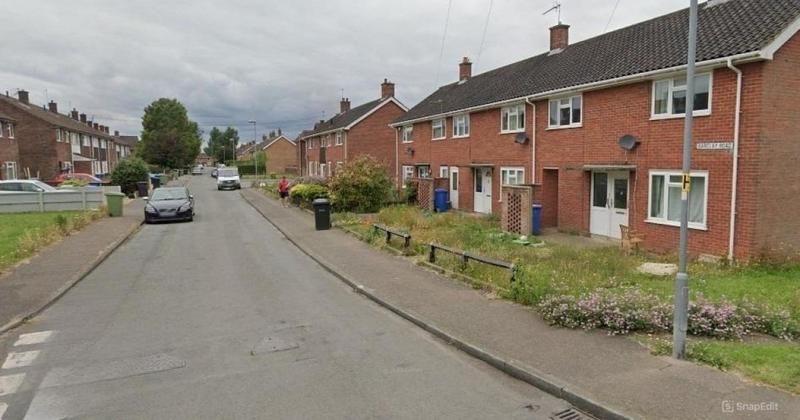 Teenagers ran amok with machete and knife in mass brawl on residential street