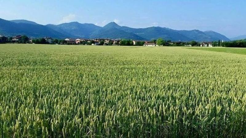 Impianto fotovoltaico al Triangolone di Gorle, fumata nera. E intanto presidio di protesta