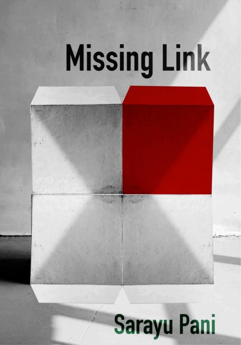 The Casteist Attack on CJI Gavai is An Ideological Assault on the Public Imagination of the Supreme Court The Casteist Attack on CJI Gavai is An Ideological Assault on the Public Imagination of the Supreme Court