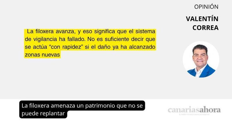 La filoxera amenaza un patrimonio que no se puede replantar