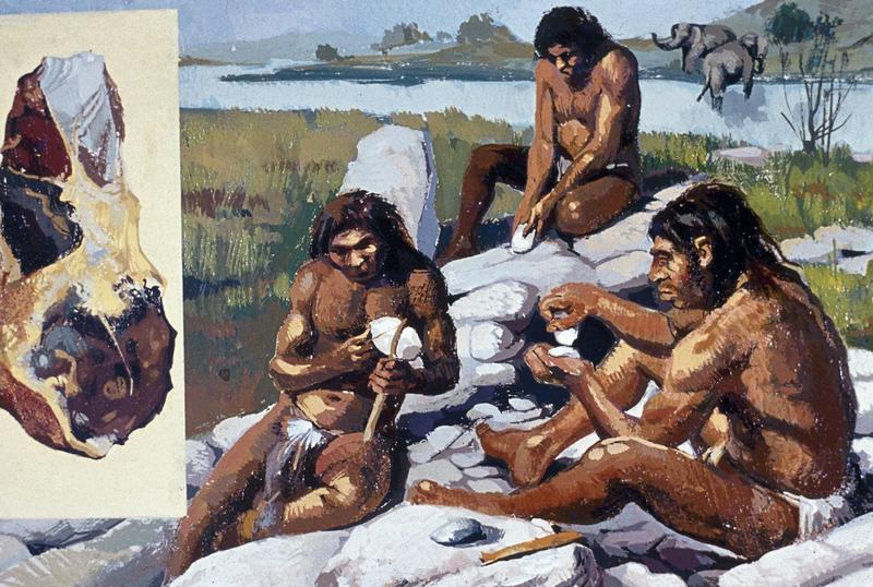 How a 400,000-year -old elephant skeleton solved a tantalising puzzle of early human behaviour