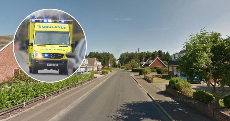 Woman in hospital after car crashes into tree