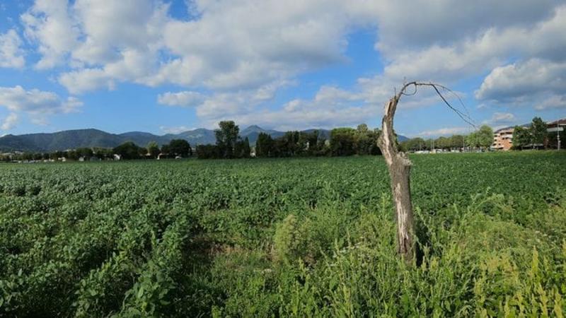 Triangolone di Gorle, altri due «no» al progetto dell’agrivoltaico