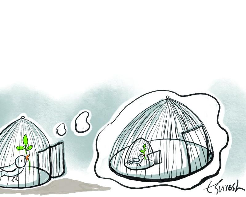 Gaza: Diplomacy and the mirage of peace Gaza: Diplomacy and the mirage of peace