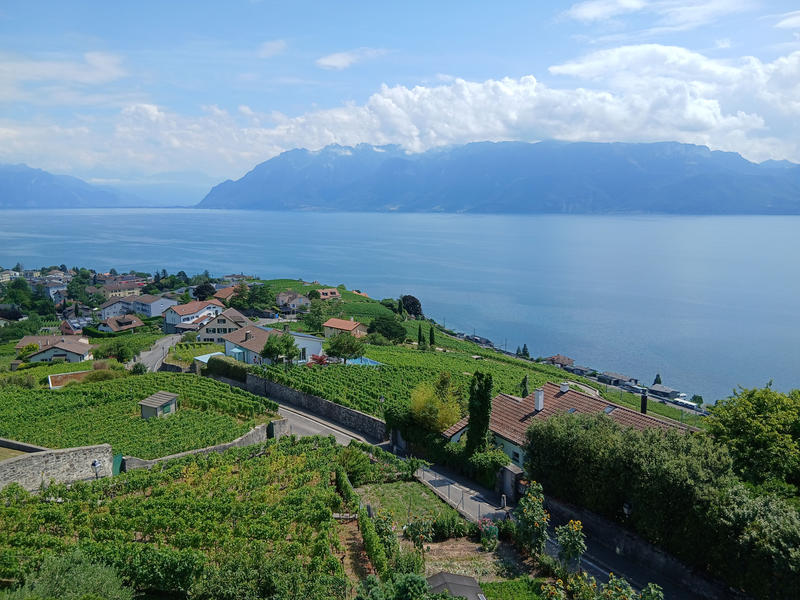 Losanna città simbolo del cammino, tra pellegrinaggi e Olimpiadi