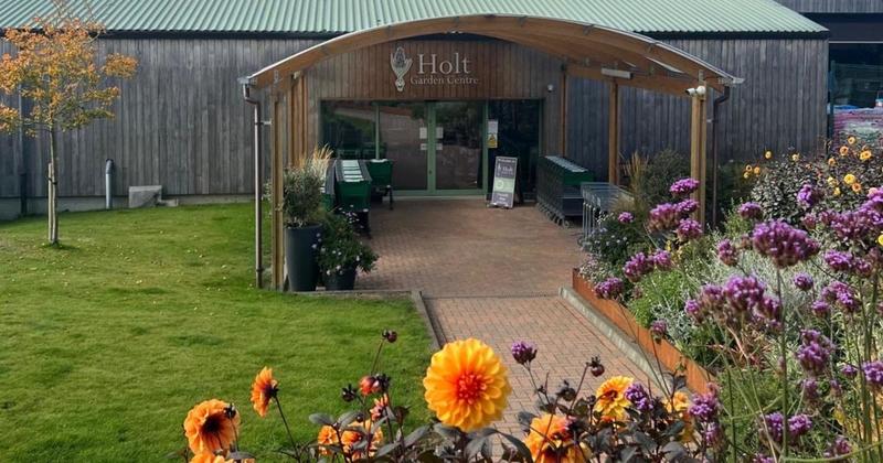 North Norfolk garden centre launches biggest ever Christmas shop