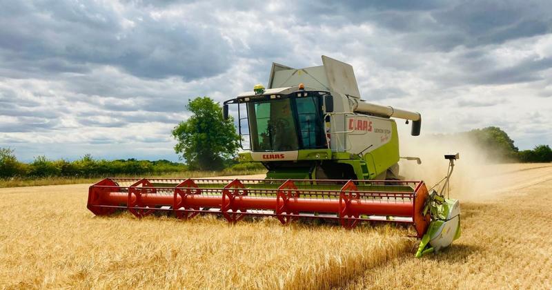 Future food security will be on the menu at Norfolk students' conference