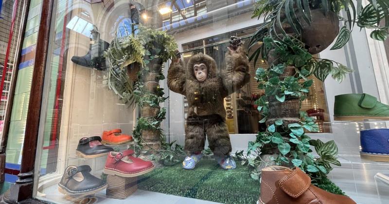 What's next for the city's most famous monkey?