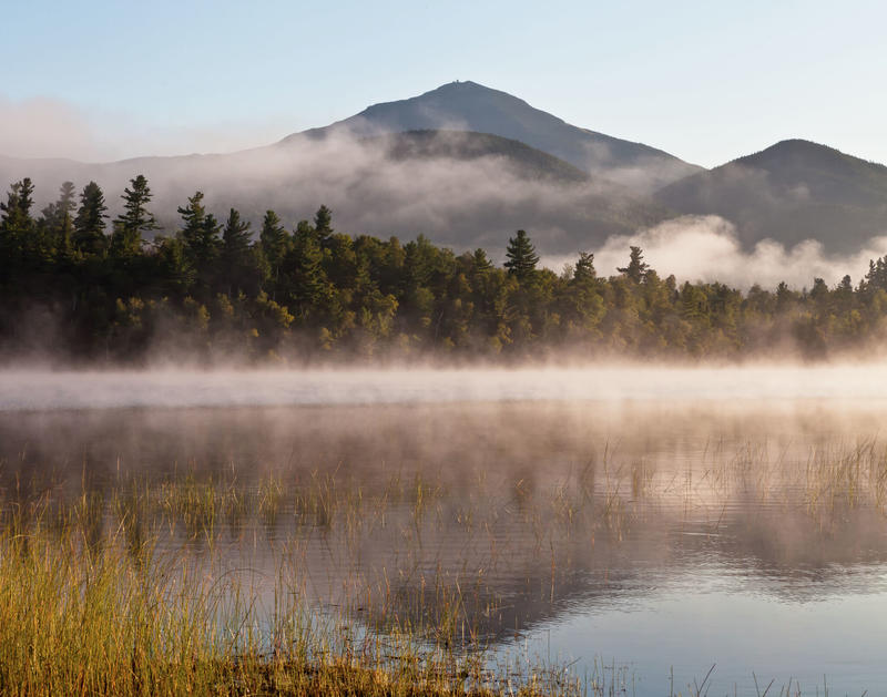 Editorial: What was ORDA thinking? Editorial: What was ORDA thinking?