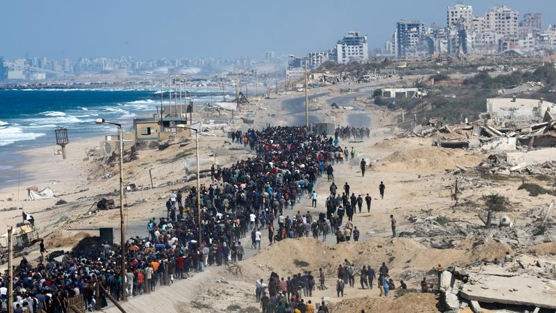 Who is to blame for the horror of Gaza?