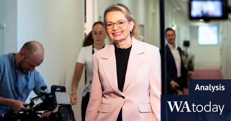 This is a terrible result for Sussan Ley, but not a surprising one