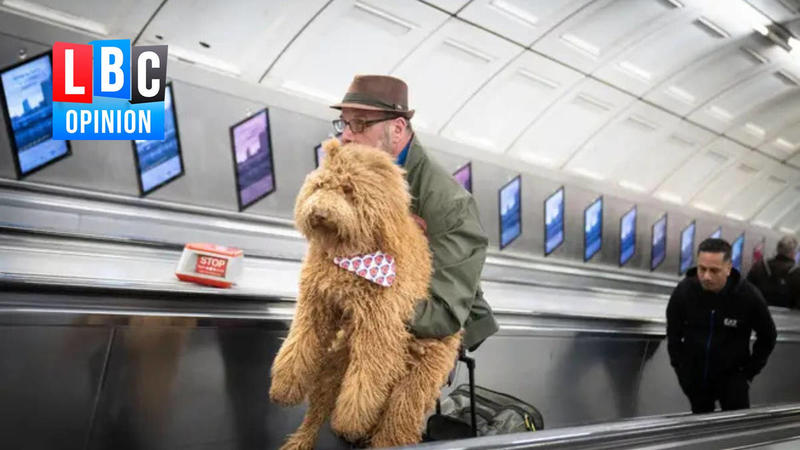 Pets on the Tube is a rare moment of joy for Londoners