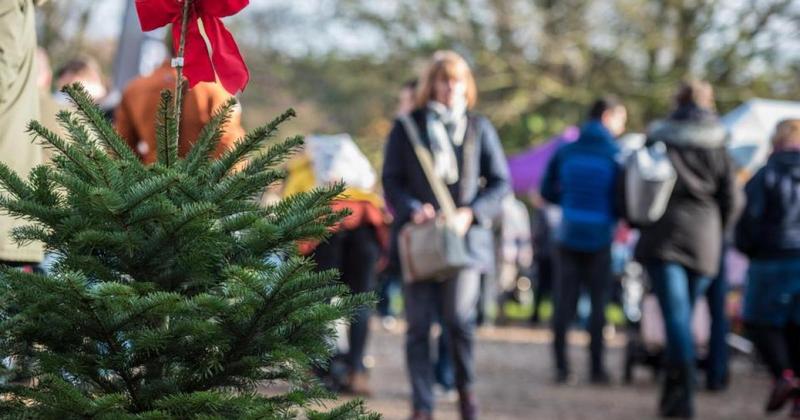 Christmas market returning to nature reserve