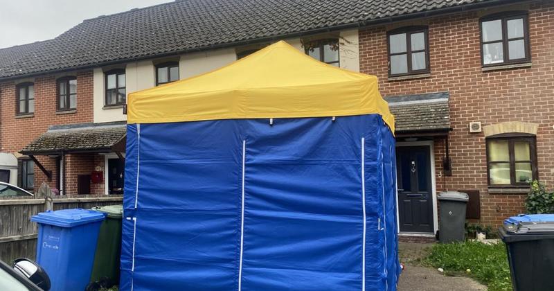 People shocked as forensics tent mysteriously goes up in Norwich street close to UEA