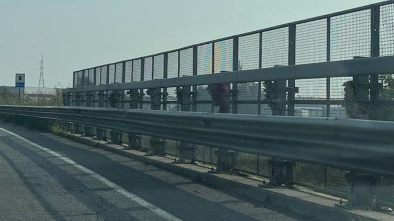 Quel guardrail pieno di fiori: «Tre morti, ora serve più sicurezza»