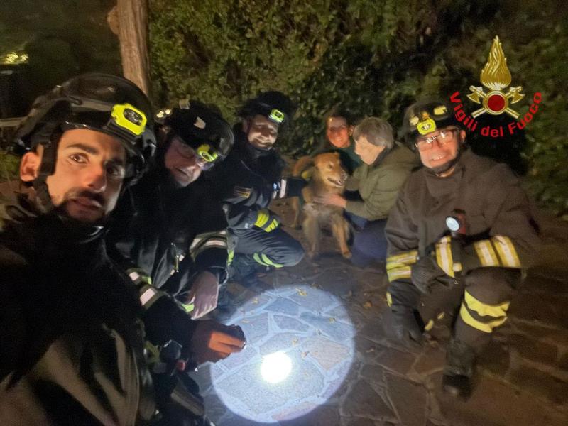 Bovisio Masciago, cane rimane incastrato con la testa nella siepe: lo salvano i vigili del fuoco