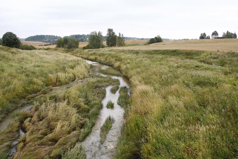 Politiikka | Yliö: Kriittinen keskustelu ruokatuotannon ulkopuolella oleville pelloille maksettavista tuista on tarpeen