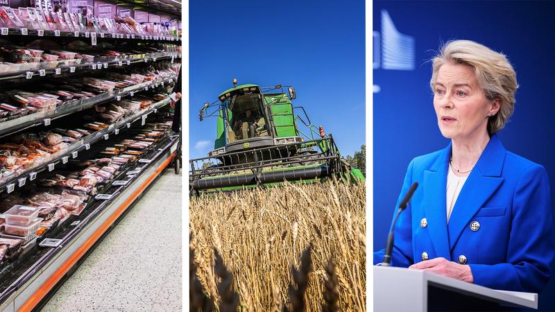 Politiikka | Nämä kolme muutosta tarvitaan, jotta maatalouden kannattavuus korjaantuu – loppu on kiinni viljelijöistä itsestään