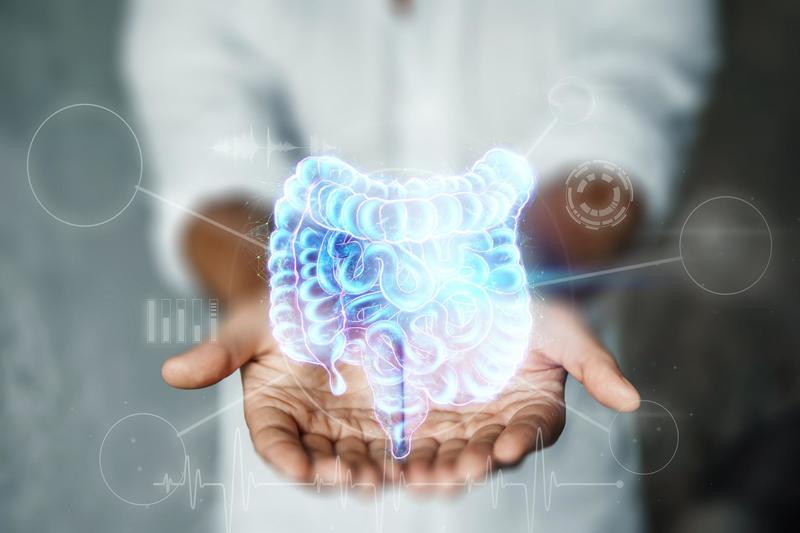 Intestino e problemi, Vaira del Sant’Orsola spiega in tv cosa sono i diverticoli e come prevenirli