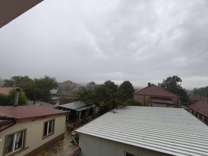 Бясно куче в клетка превърна в кошмар живота на десетки в Българово