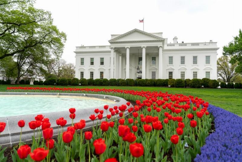 Bureaucrats Aren’t Presidents Bureaucrats Aren’t Presidents