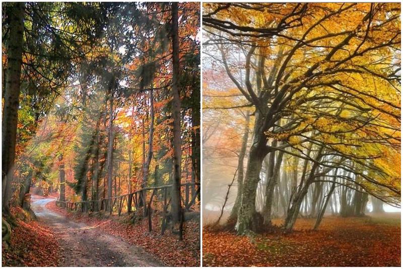 Lo spettacolo del foliage a Canfaito, i parcheggi tornano a pagamento