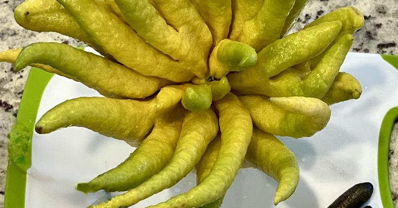 Haunted Harvest: Weird Fruits That Trick and Treat Your Brain