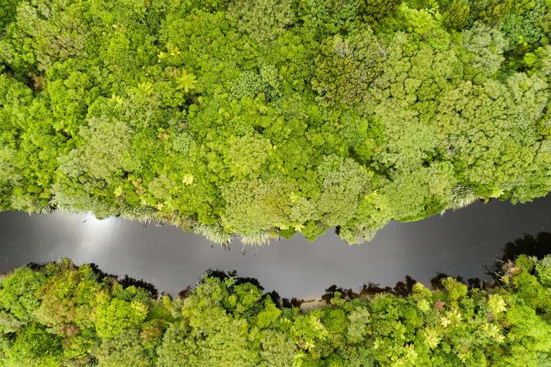 Reform of NZ’s protected lands is overdue – but the public should decide about economic activities