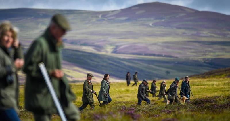 The land of the few: Why grouse moors must go