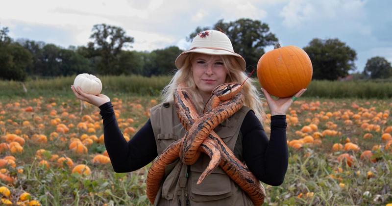 Pumpkin patch and 'spooky' maize maze launch at hit Norfolk attraction