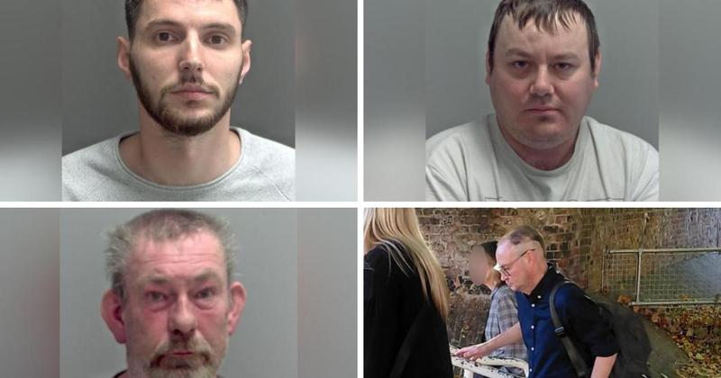 In the dock: The criminals sentenced in Norfolk last week