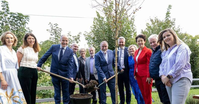 Cork Views: Looking back on 30 years of SECAD