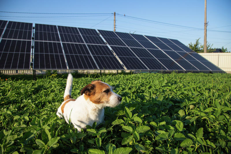 Commentary: Reckless solar farm sitings may hurt the green-energy cause