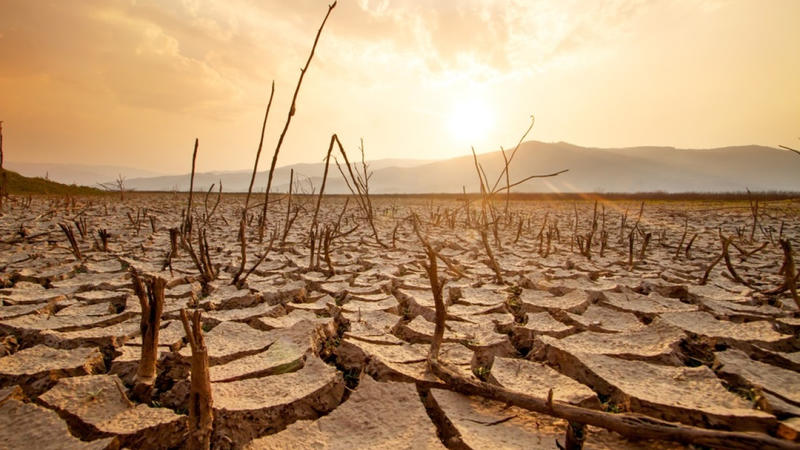 Διψασμένα χώματα Διψασμένα χώματα