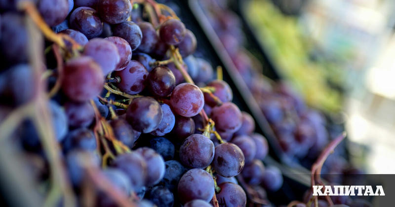 Коментар | Виното от Китай е по-добро, отколкото смятат западните сноби