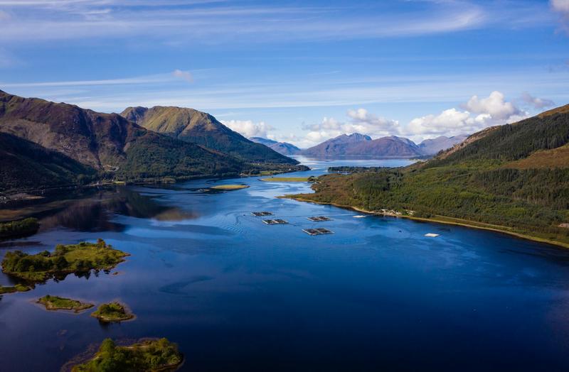 Almost 75,000 farmed salmon in Scotland escaped into the wild after Storm Amy – why this may cause lasting damage