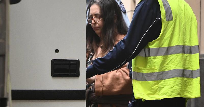 What exactly is convicted triple-murderer Erin Patterson appealing?