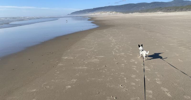 Rediscovering Yourself After Loss