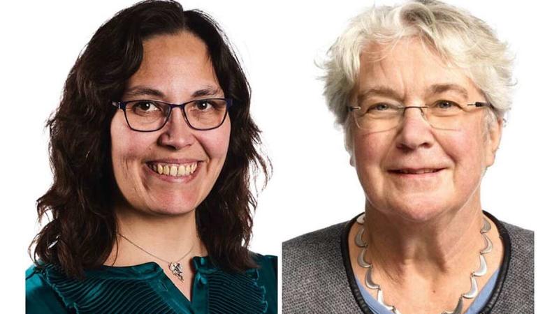 Debat: »Hvor mange aflastningspladser skal der være i Silkeborg?