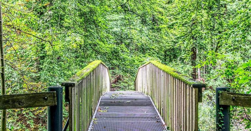What’s Next? Navigating Life Transitions