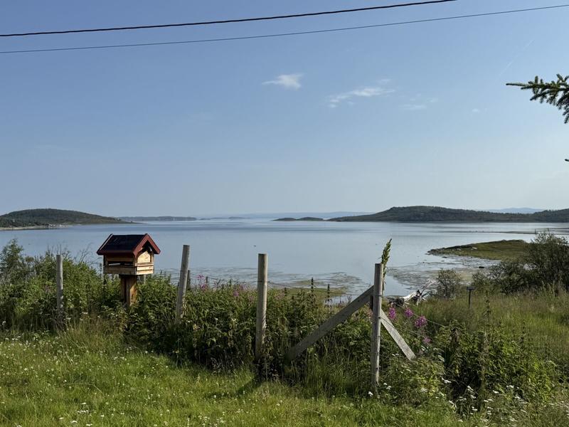 Vern av den døde fjord Vern av den døde fjord