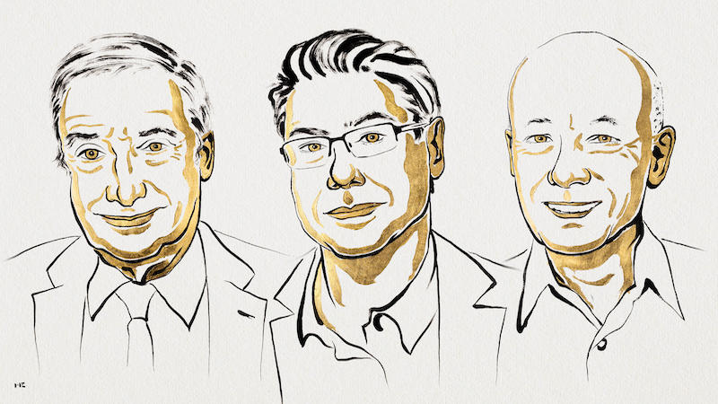 The 2025 Nobel Prize In Economics – OpEd