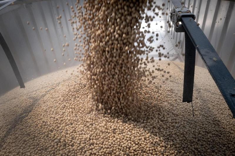 ‘Farmageddon’ can’t be solved with a bailout alone