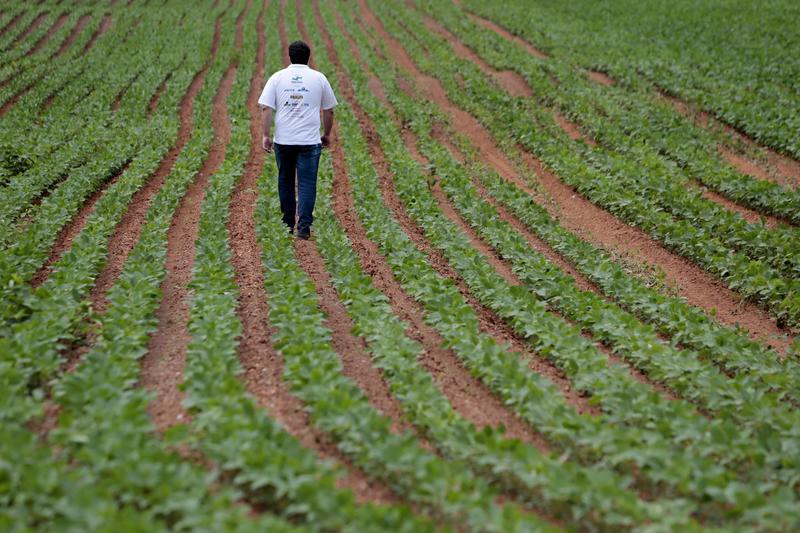 O Brasil que produz espera derrubada dos vetos à lei de licenciamento ambiental