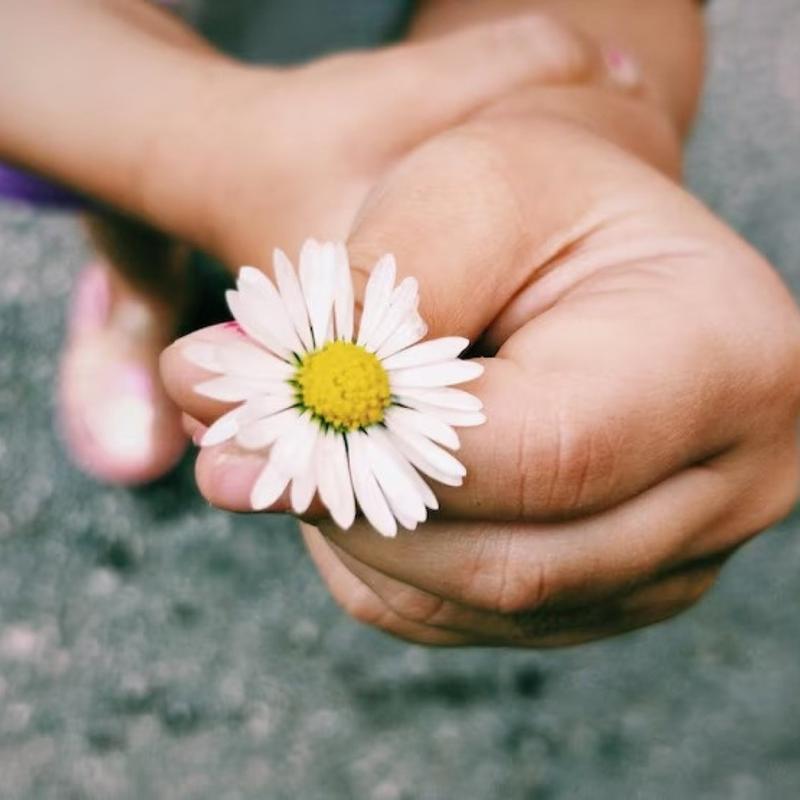 A flor mais preciosa do mundo: o amor