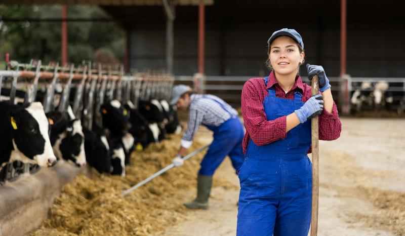 Three ways to make the UK’s food system more resilient – according to new report by 150 experts