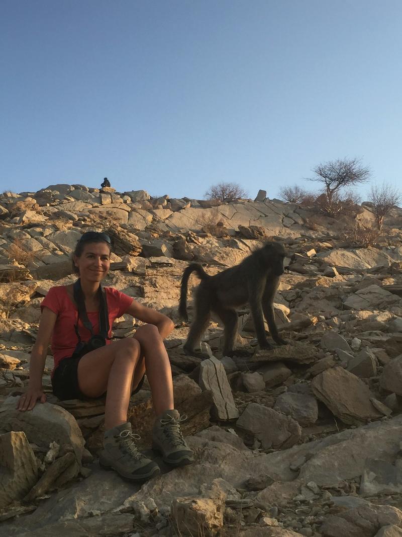 Le pouvoir des mâles n’est pas la norme chez les primates. Conversation avec Élise Huchard