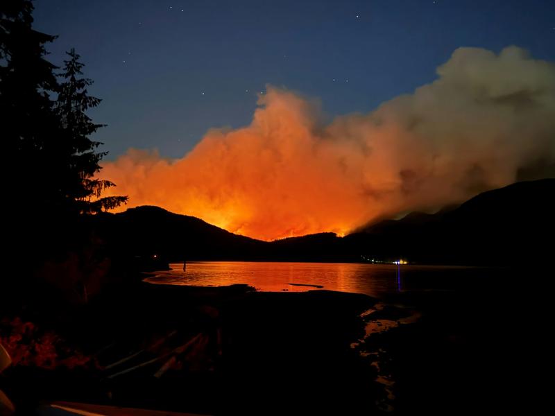How wildfires and other climate disasters put health systems under extreme pressure